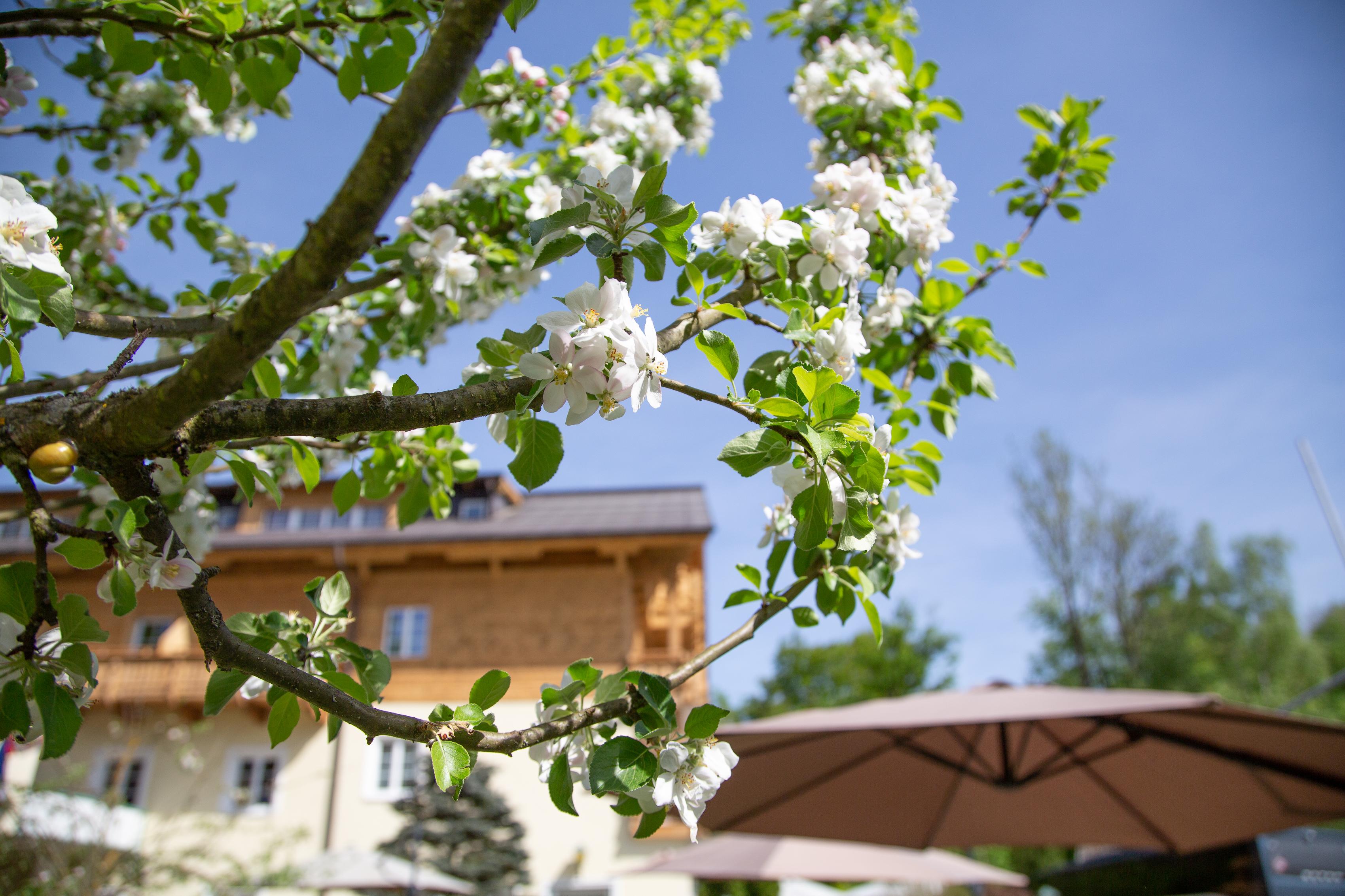 Saint Wolfgang Hotel Foersterhof Lebe Pur, Geniesse Den Tag מראה חיצוני תמונה